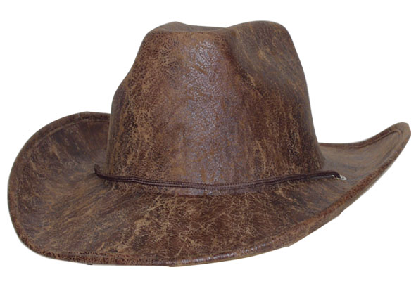 Cowboyhoed bruin - 