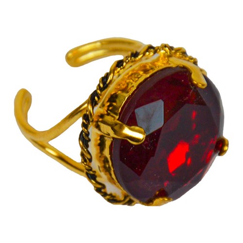 Ring Sinterklaas rond