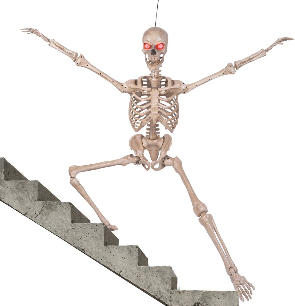 Beweegbaar skelet
