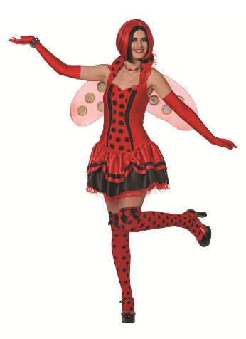 Lieveheersbeest Dame