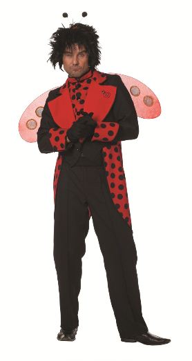 Lieveheersbeest Heer