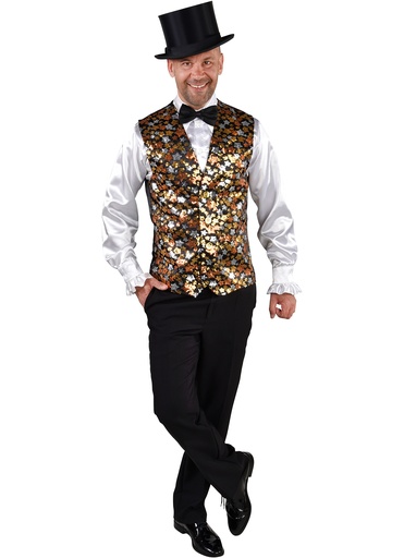 Vest sterren goud en zilver