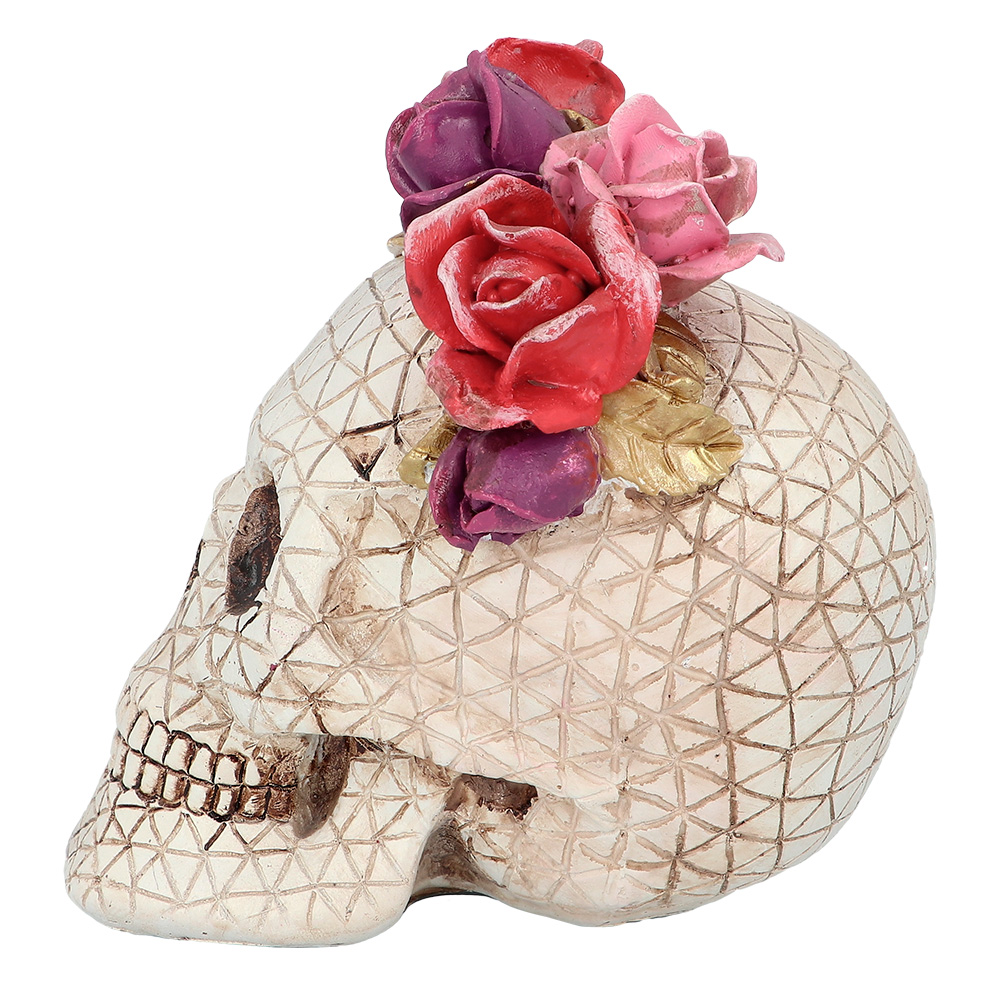 Schedel Señora Rosa