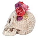 Schedel Señora Rosa