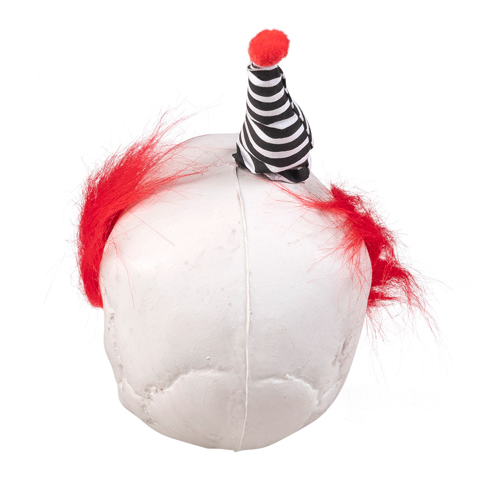 Schedel Clown met beweegbare kaak