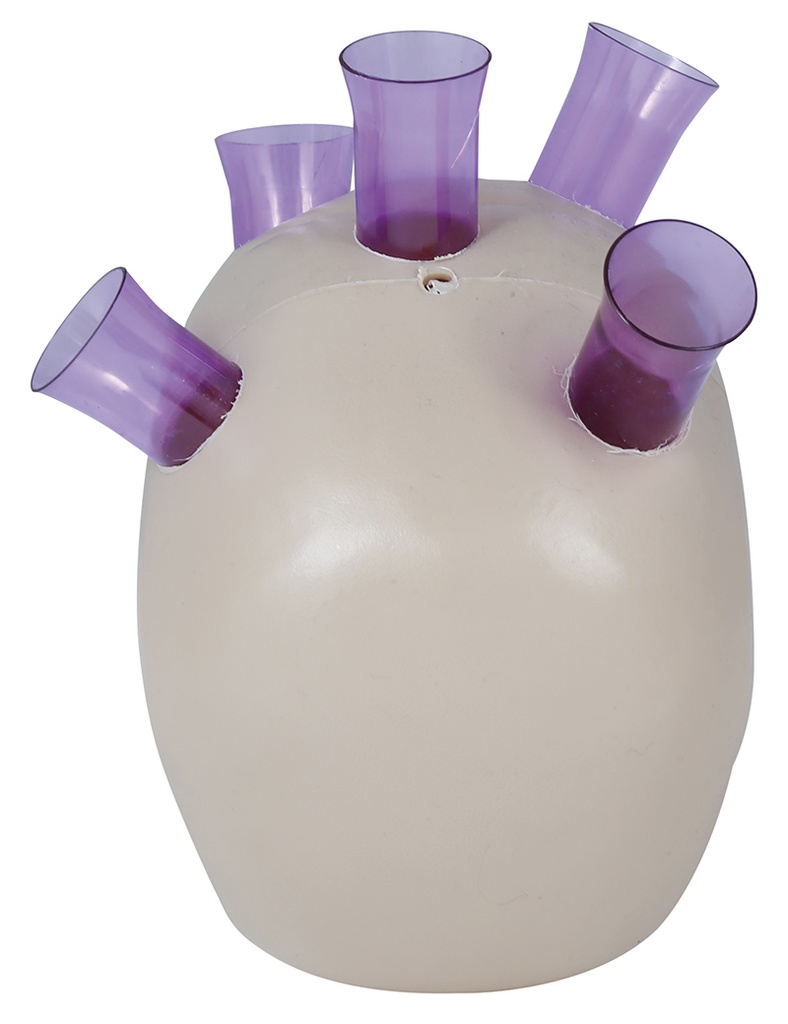 Schedel met 5 schotglaasjes 20 cm