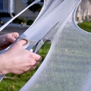 Spinnenweb met 13 spinnen