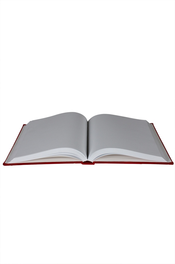 Sinterklaasboek met gouden mijter