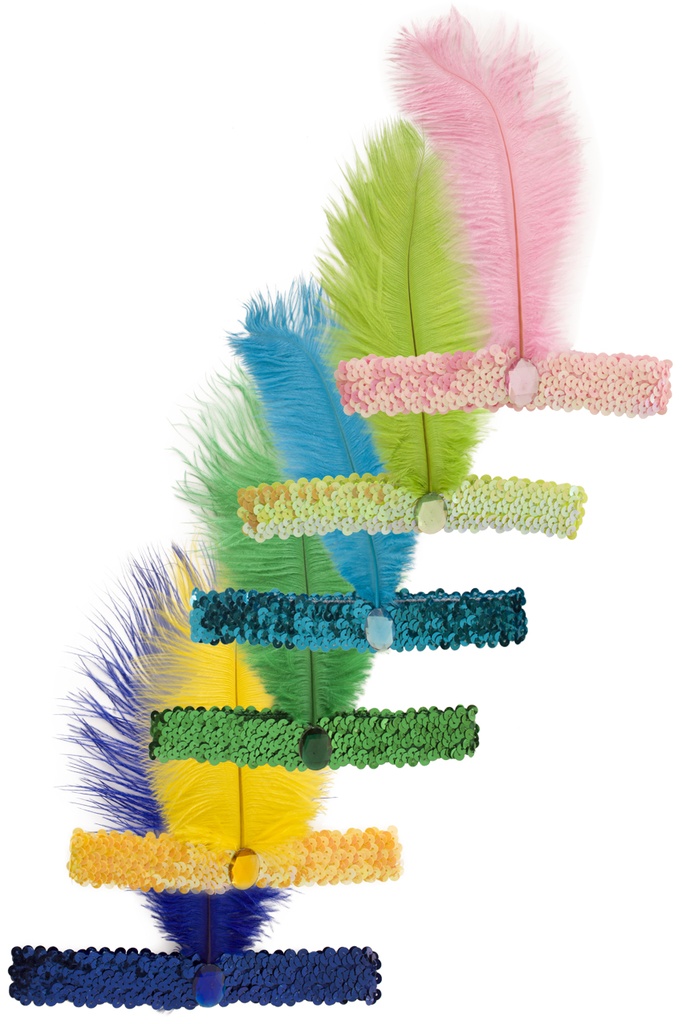 Charleston haarband met veer ass