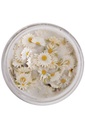 PXP pressed chunky flowers daisies mix cream