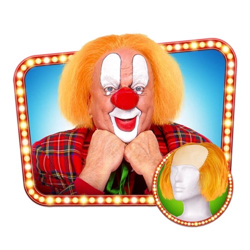 Pruik Clown Bassie
