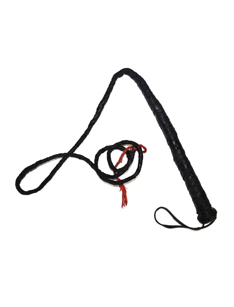 Zweep zwart
