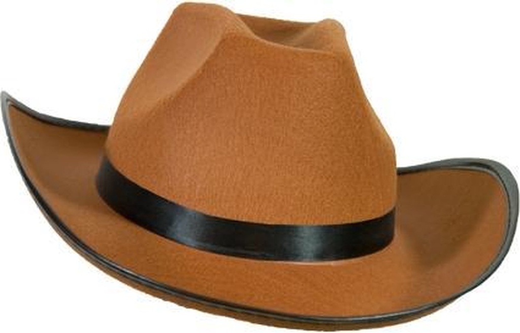 Cowboyhoed Dallas bruin