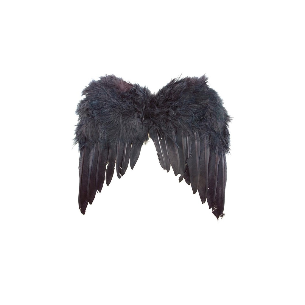 Engelvleugels zwart 33 x 34 cm