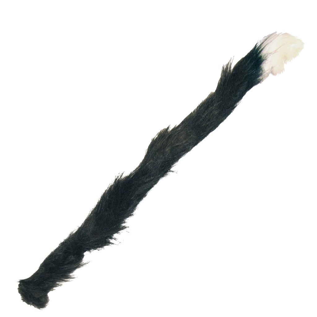 Kattenstaart zwart met witte punt