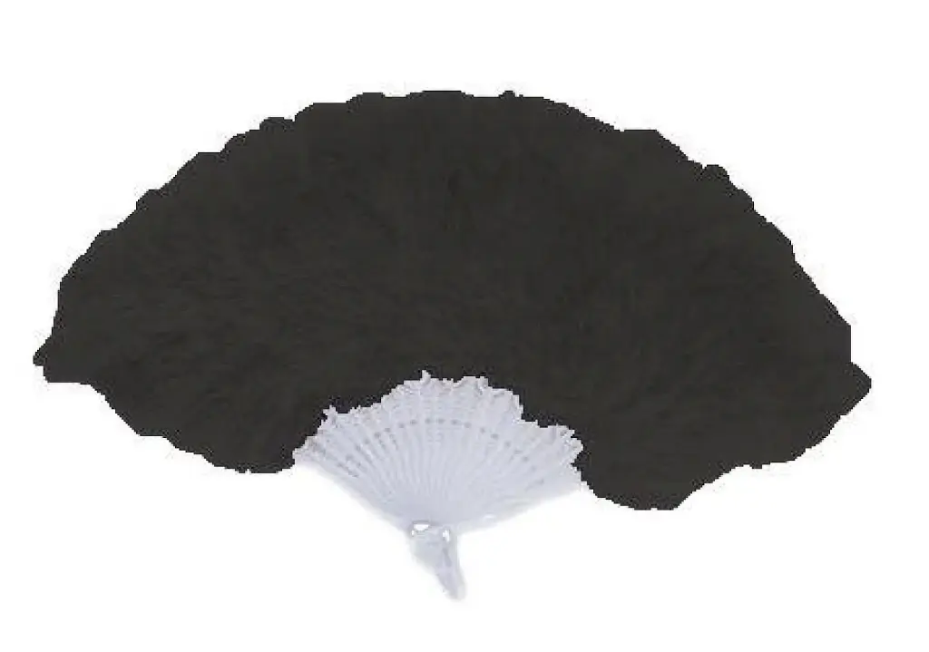 Waaier veren zwart