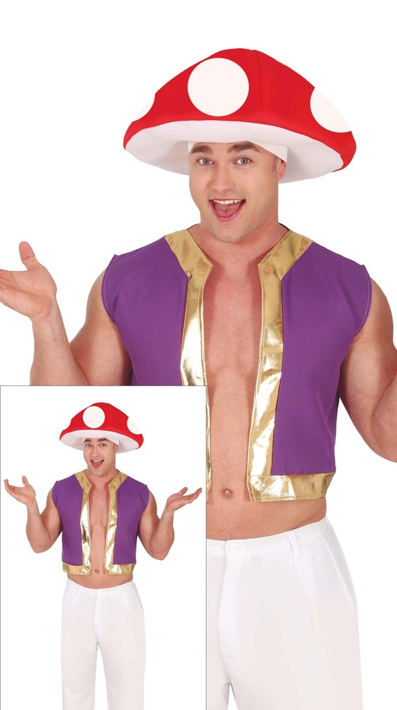 Toad (Champignon Mario)