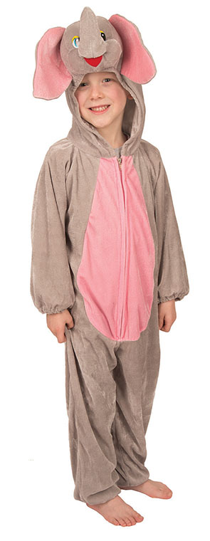 Olifant kind