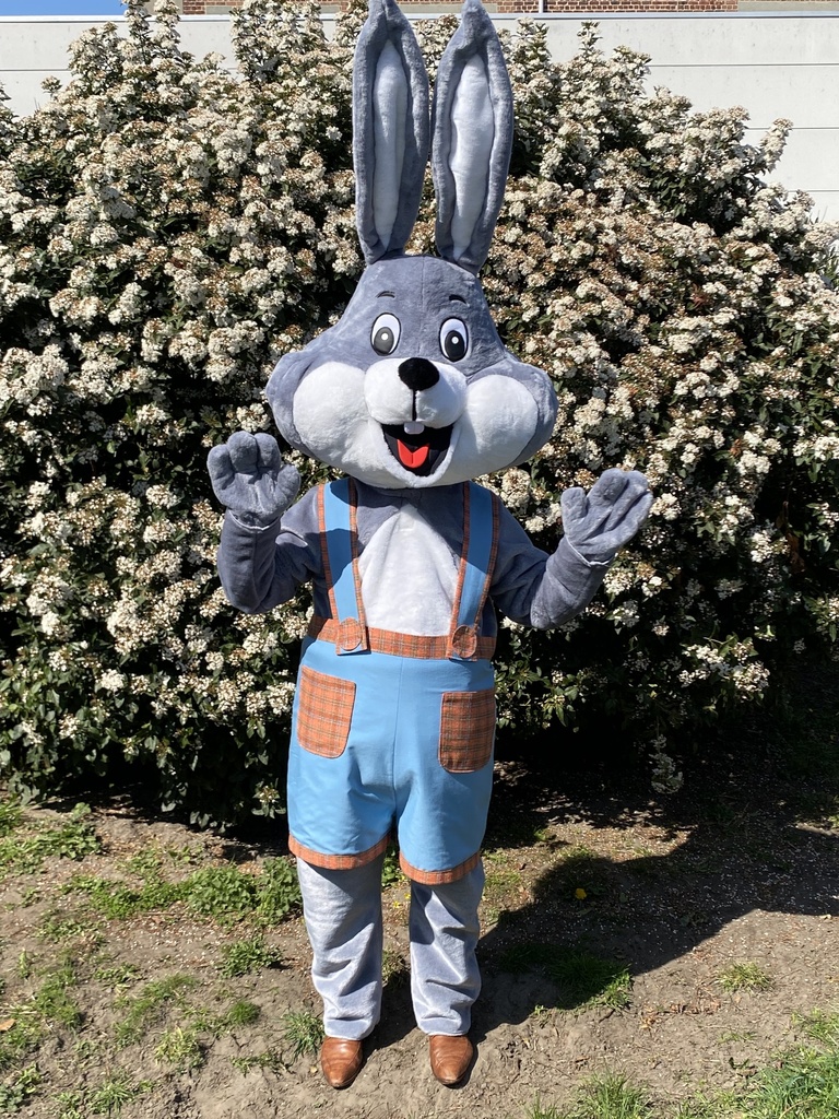 Mega Paashaas/ konijn Boris