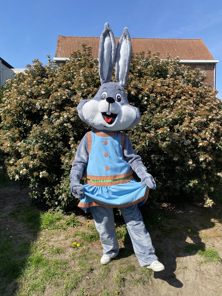 Mega Paashaas/ konijn Bertha