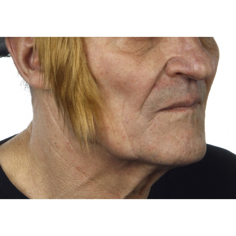 Bakkebaarden Theodoor blond