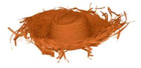 Strohoed oranje