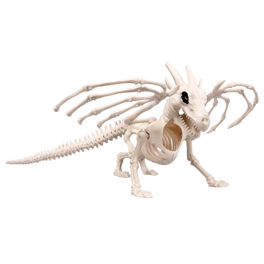 Skelet draak 