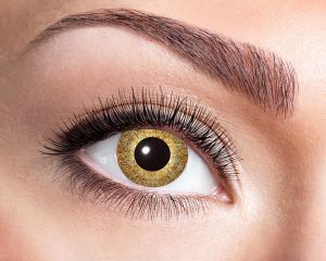 Lenzen Golden sparkle