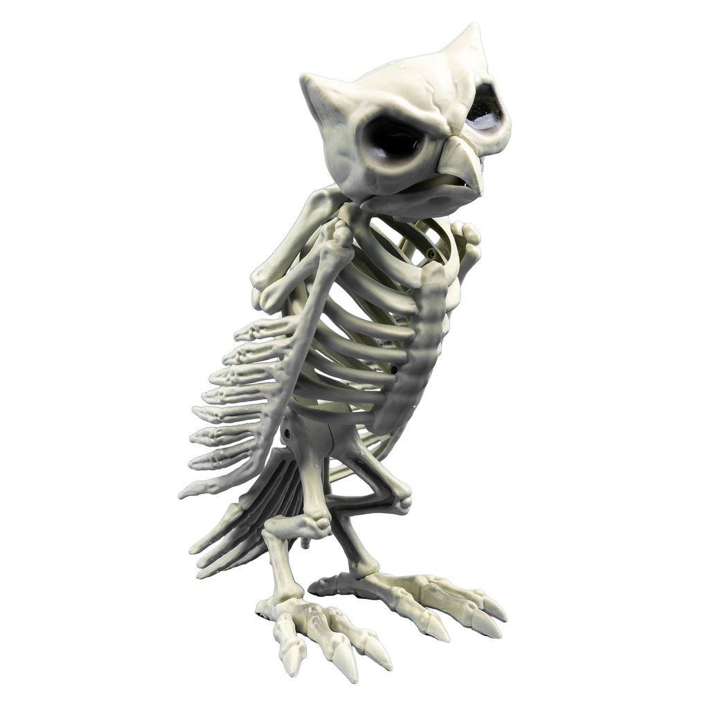 Skelet uil