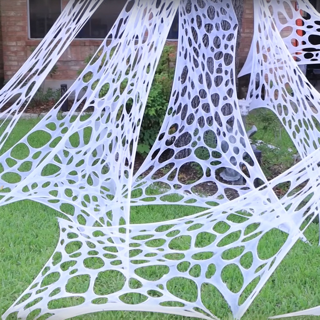 Spinnenweb met 13 spinnen