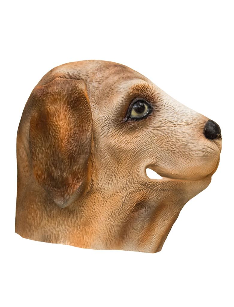 Masker latex hond