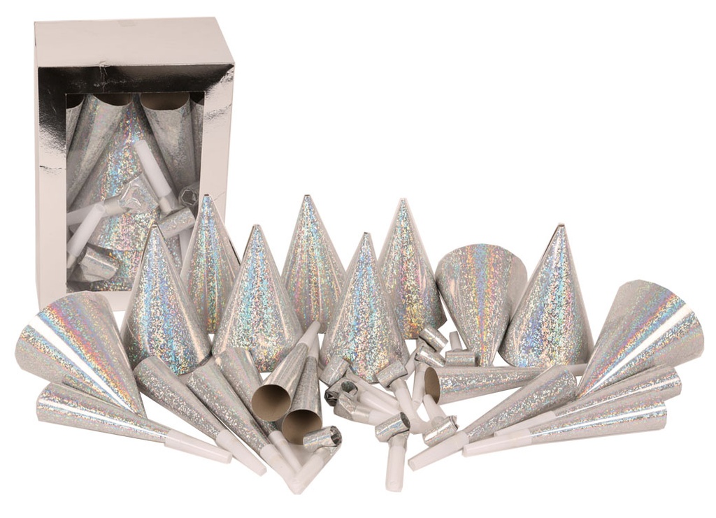 Partyset 10 personen zilver