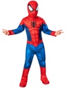 Spiderman kid