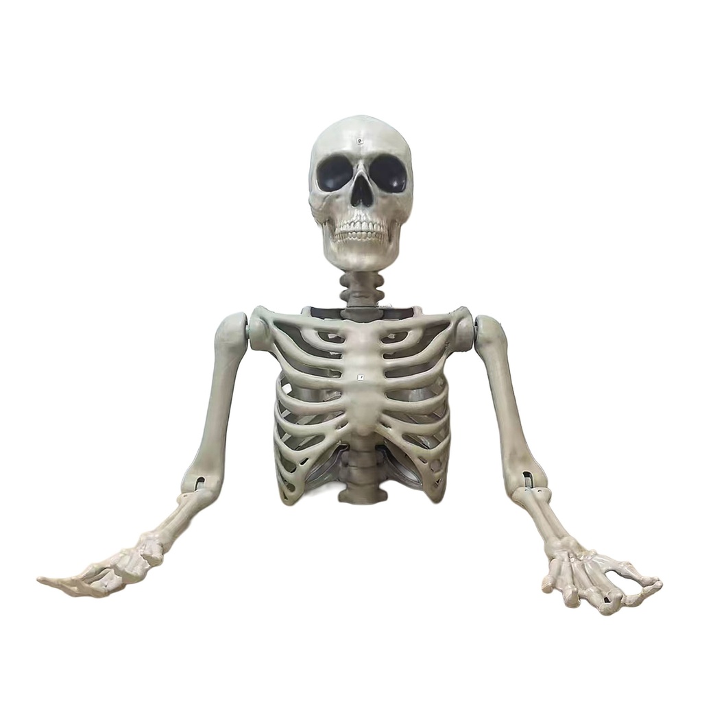 Torso Tom