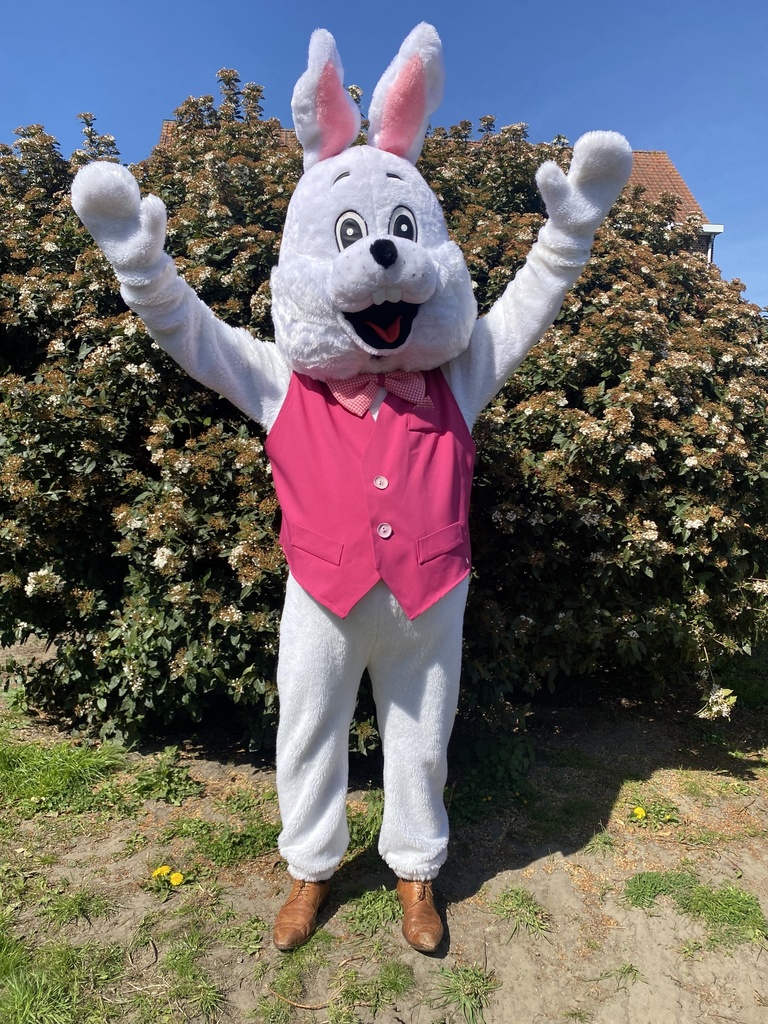 Mega Paashaas/ konijn Leo