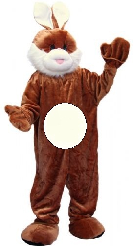 Super Paashaas/ konijn Fabio