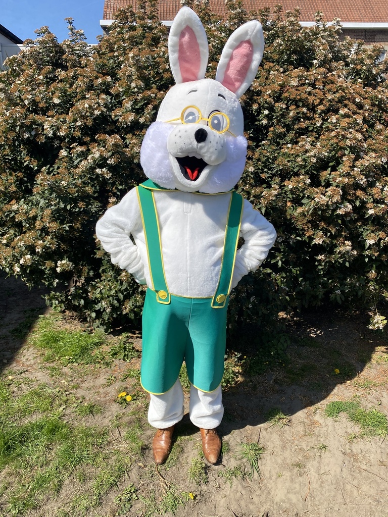 Mega Paashaas/ konijn August