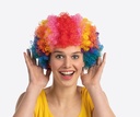 Pruik Clown regenboog