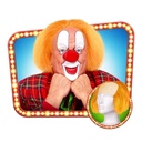Pruik Clown Bassie