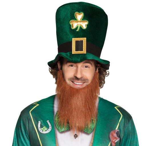 Hoed St-Patricksday met baard