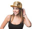 Pet goud met dollar