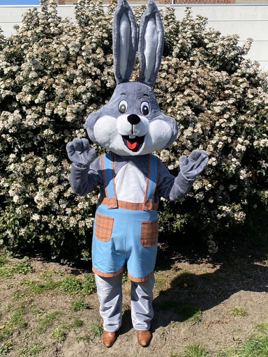 Boris Mega Paashaas - Paaskonijn