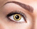 Lenzen golden dots