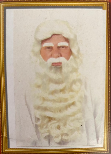 Baard en pruik Sinterklaas set deluxe: baard, pruik, snor en wenkbrauwen