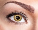 Lenzen Golden sparkle