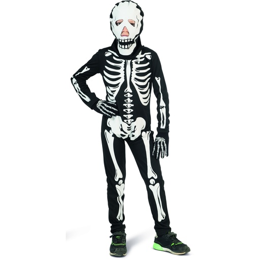 Skeletje Stef