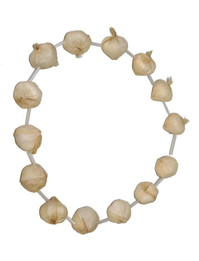 Ketting knoflook