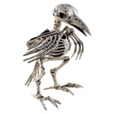 Skelet vogel