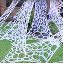 Spinnenweb met 13 spinnen