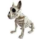 Skelet hond